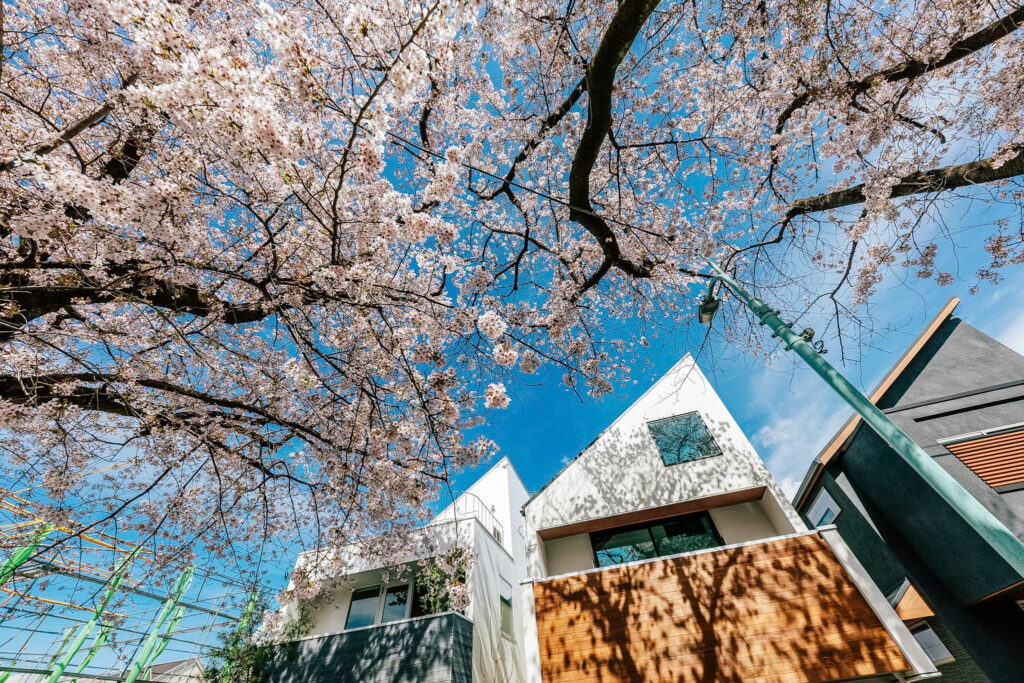 四季と調和する暮らしの家